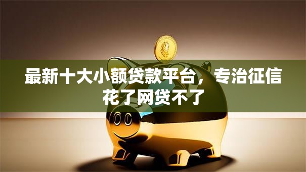 最新十大小额贷款平台，专治征信花了网贷不了