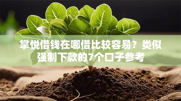 掌悦借钱在哪借比较容易？类似强制下款的7个口子参考