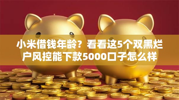 小米借钱年龄？看看这5个双黑烂户风控能下款5000口子怎么样