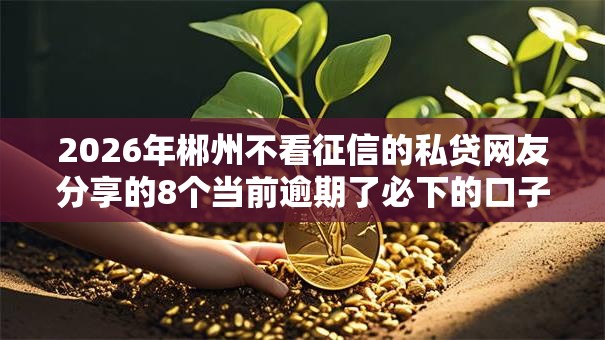 2026年郴州不看征信的私贷网友分享的8个当前逾期了必下的口子我觉得不错！