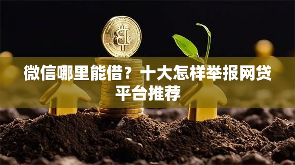 微信哪里能借?十大怎样举报网贷平台推荐 微信哪里能借?十大怎样举报网贷平台推荐