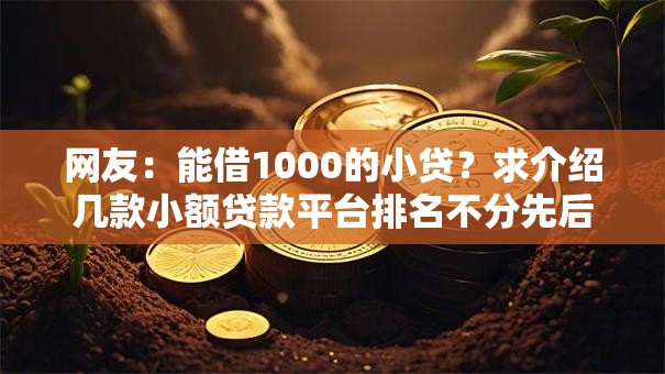 网友：能借1000的小贷？求介绍几款小额贷款平台排名不分先后