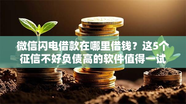 微信闪电借款在哪里借钱？这5个征信不好负债高的软件值得一试