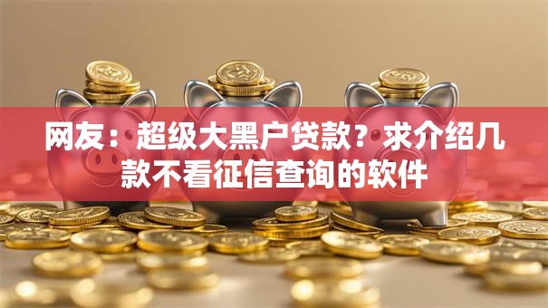 网友：超级大黑户贷款？求介绍几款不看征信查询的软件