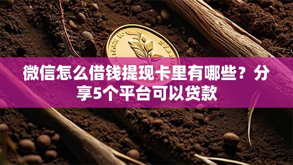 微信怎么借钱提现卡里有哪些?分享5个平台可以贷款 微信怎么借钱提现卡里有哪些?分享5个平台可以贷款