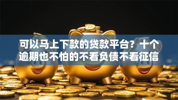 可以马上下款的贷款平台？十个逾期也不怕的不看负债不看征信可以下款的平台