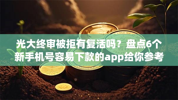 光大终审被拒有复活吗？盘点6个新手机号容易下款的app给你参考