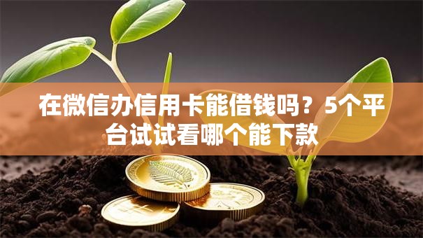 在微信办信用卡能借钱吗？5个平台试试看哪个能下款