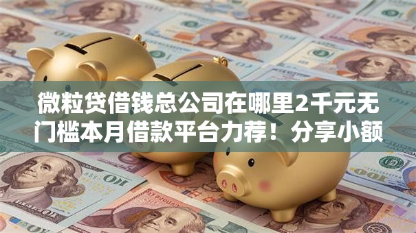 微粒贷借钱总公司在哪里2千元无门槛本月借款平台力荐！分享小额网贷口子2千元无门槛借款