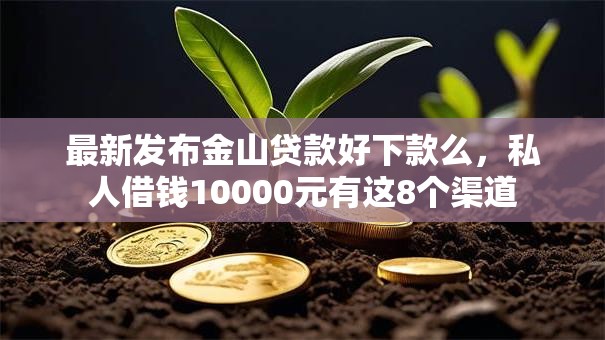 最新发布金山贷款好下款么，私人借钱10000元有这8个渠道