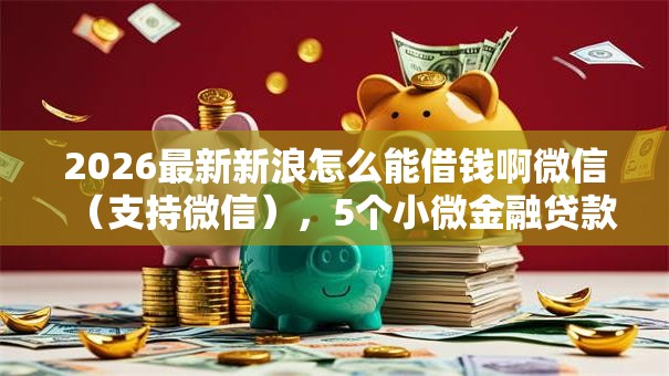 2026最新新浪怎么能借钱啊微信(支持微信),5个小微金融贷款平台无私分享 2026最新新浪怎么能借钱啊微信(支持微信),5个小微金融贷款平台无私分享