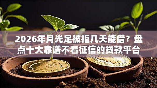 2026年月光足被拒几天能借？盘点十大靠谱不看征信的贷款平台