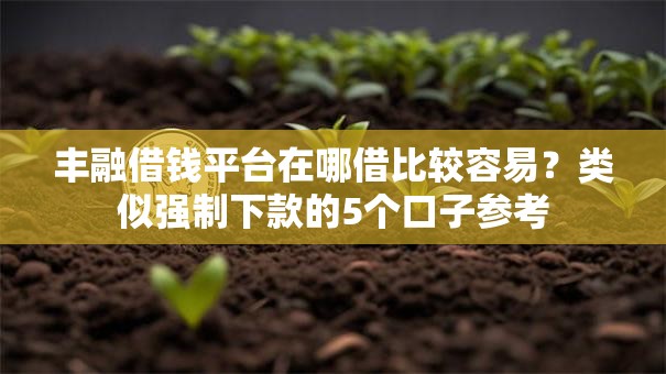 丰融借钱平台在哪借比较容易？类似强制下款的5个口子参考