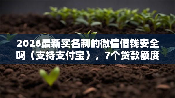 2026最新实名制的微信借钱安全吗（支持支付宝），7个贷款额度高的平台无私分享