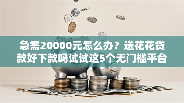 急需20000元怎么办？送花花贷款好下款吗试试这5个无门槛平台