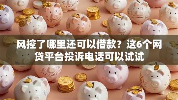 风控了哪里还可以借款？这6个网贷平台投诉电话可以试试