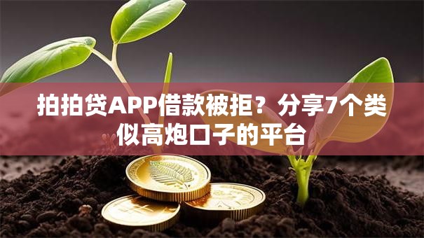 拍拍贷APP借款被拒？分享7个类似高炮口子的平台