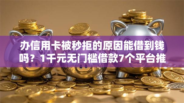 办信用卡被秒拒的原因能借到钱吗？1千元无门槛借款7个平台推荐