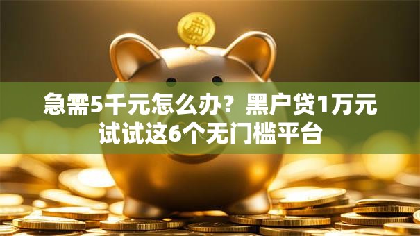 急需5千元怎么办？黑户贷1万元试试这6个无门槛平台