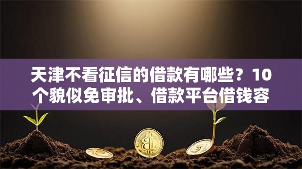 天津不看征信的借款有哪些？10个貌似免审批、借款平台借钱容易通过合集