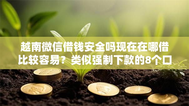 越南微信借钱安全吗现在在哪借比较容易?类似强制下款的8个口子参考 越南微信借钱安全吗现在在哪借比较容易?类似强制下款的8个口子参考