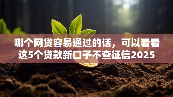 哪个网贷容易通过的话，可以看看这5个贷款新口子不查征信2025
