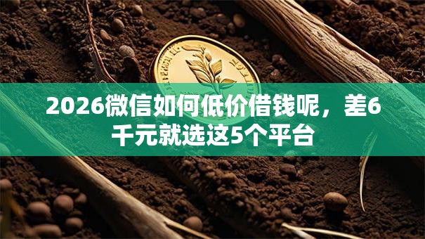 2026微信如何低价借钱呢，差6千元就选这5个平台