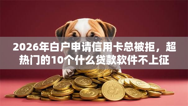 2026年白户申请信用卡总被拒，超热门的10个什么贷款软件不上征信不用还推荐