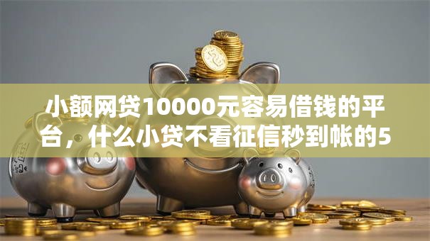 小额网贷10000元容易借钱的平台，什么小贷不看征信秒到帐的5个平台介绍