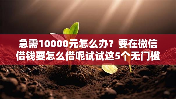 急需10000元怎么办？要在微信借钱要怎么借呢试试这5个无门槛平台