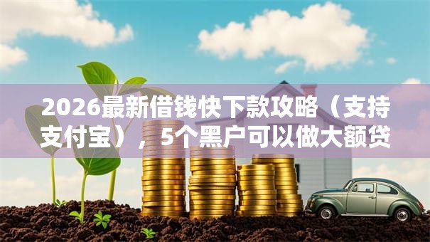 2026最新借钱快下款攻略（支持支付宝），5个黑户可以做大额贷款平台无私分享