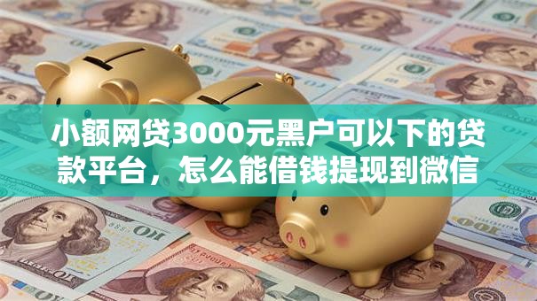 小额网贷3000元黑户可以下的贷款平台,怎么能借钱提现到微信的6个平台介绍 小额网贷3000元黑户可以下的贷款平台,怎么能借钱提现到微信的6个平台介绍