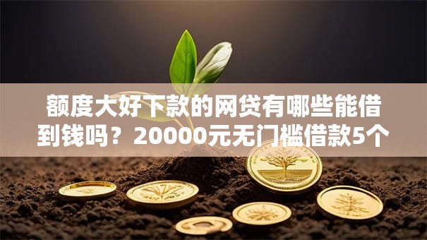 额度大好下款的网贷有哪些能借到钱吗？20000元无门槛借款5个平台推荐