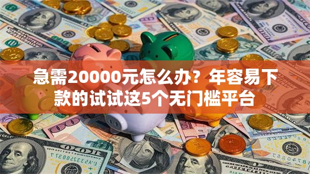 急需20000元怎么办？年容易下款的试试这5个无门槛平台