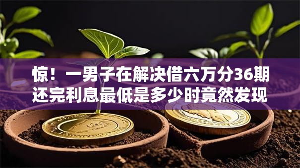 惊！一男子在解决借六万分36期还完利息最低是多少时竟然发现9个最新不查征信的口子，事后分享了出来