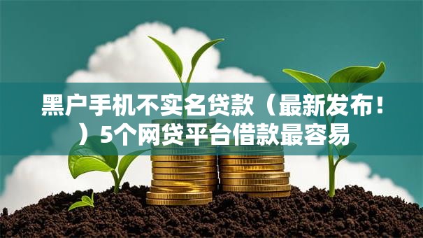 黑户手机不实名贷款（最新发布！）5个网贷平台借款最容易
