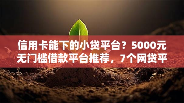 信用卡能下的小贷平台?5000元无门槛借款平台推荐,7个网贷平台查询系统盘点 信用卡能下的小贷平台?5000元无门槛借款平台推荐,7个网贷平台查询系统盘点