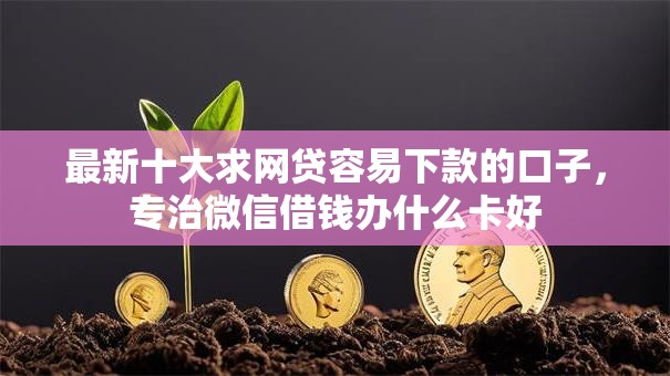 最新十大求网贷容易下款的口子，专治微信借钱办什么卡好