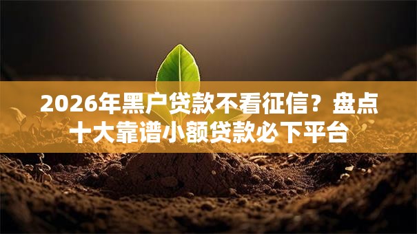 2026年黑户贷款不看征信？盘点十大靠谱小额贷款必下平台