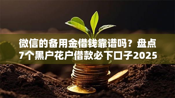 微信的备用金借钱靠谱吗？盘点7个黑户花户借款必下口子2025给你参考