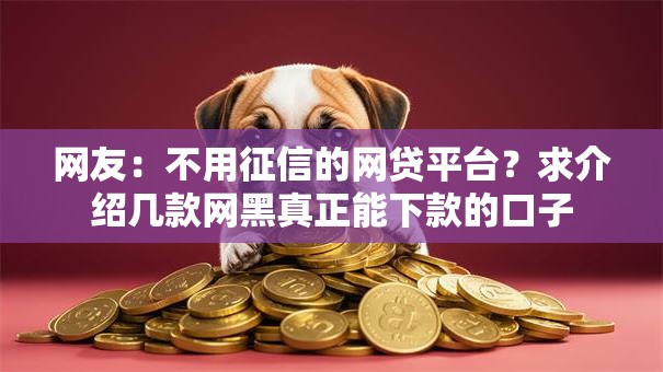 网友:不用征信的网贷平台?求介绍几款网黑真正能下款的口子 网友:不用征信的网贷平台?求介绍几款网黑真正能下款的口子