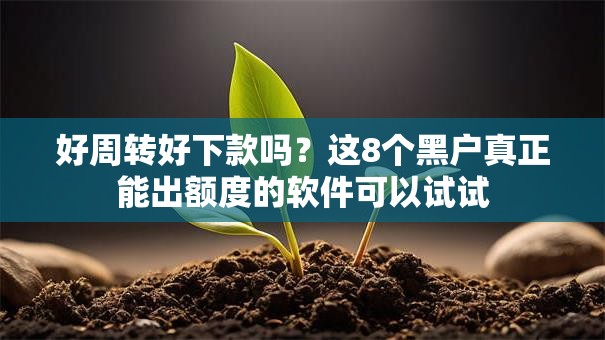 好周转好下款吗？这8个黑户真正能出额度的软件可以试试