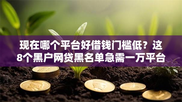 现在哪个平台好借钱门槛低？这8个黑户网贷黑名单急需一万平台能下款值得一试