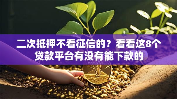 二次抵押不看征信的？看看这8个贷款平台有没有能下款的