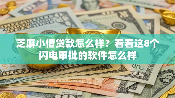 芝麻小借贷款怎么样？看看这8个闪电审批的软件怎么样