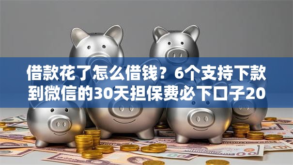 借款花了怎么借钱？6个支持下款到微信的30天担保费必下口子2025