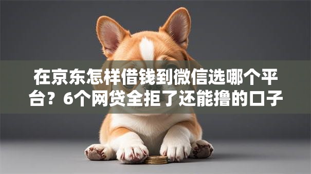在京东怎样借钱到微信选哪个平台?6个网贷全拒了还能撸的口子推荐 在京东怎样借钱到微信选哪个平台?6个网贷全拒了还能撸的口子推荐