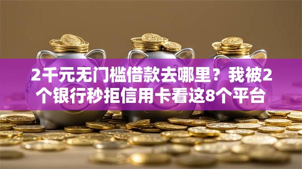 2千元无门槛借款去哪里？我被2个银行秒拒信用卡看这8个平台