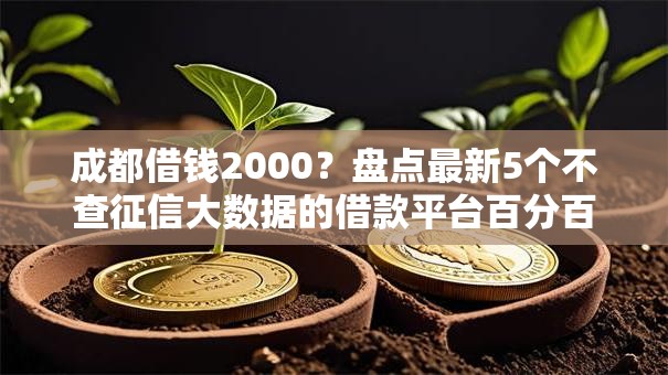 成都借钱2000？盘点最新5个不查征信大数据的借款平台百分百通过