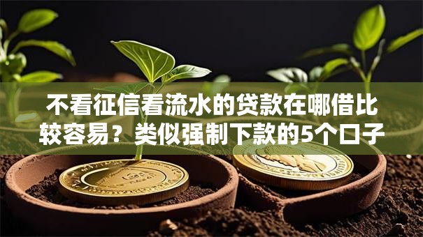 不看征信看流水的贷款在哪借比较容易?类似强制下款的5个口子参考 不看征信看流水的贷款在哪借比较容易?类似强制下款的5个口子参考